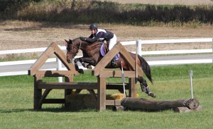 off track thoroughbred eventing